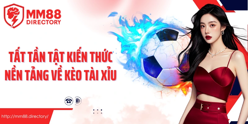 Tất tần tật kiến thức nền tảng về kèo tài xỉu dành cho người mới